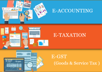 How an Accounting Course Can Future-Proof Your Career in 2025, 100% Job, Accounting Course in Delhi, 110095 -  Free SAP FICO Certification by SLA Consultants India, GST Certification, ITR & DTC Classes with 2025 Update, Tally Prime Certification,